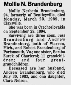 Mollie N. Brandenburg